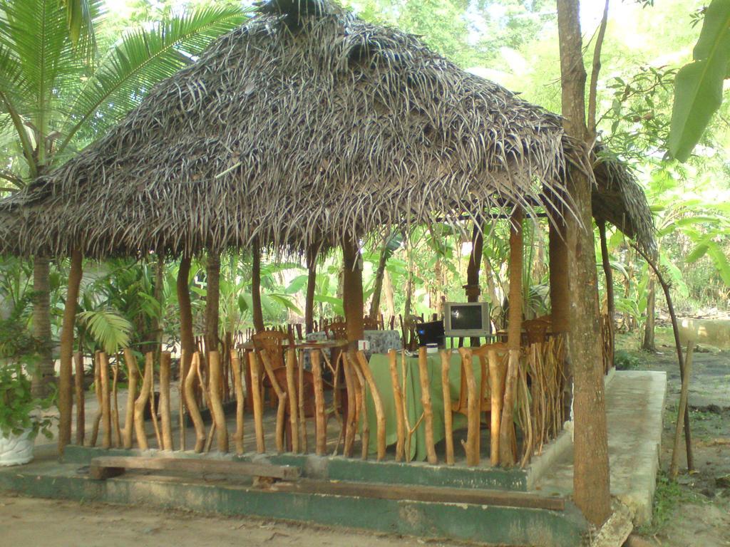 Coconut Park Bed & Breakfast Holambra Exterior foto