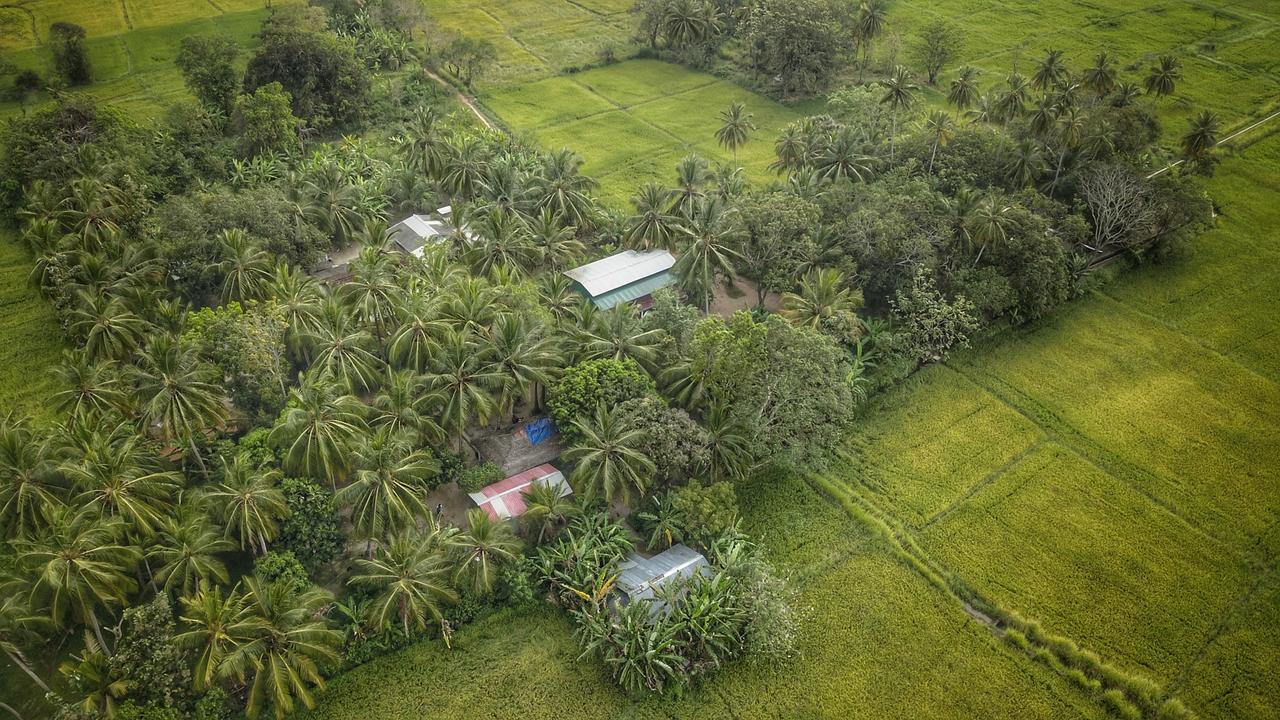 Coconut Park Bed & Breakfast Holambra Exterior foto